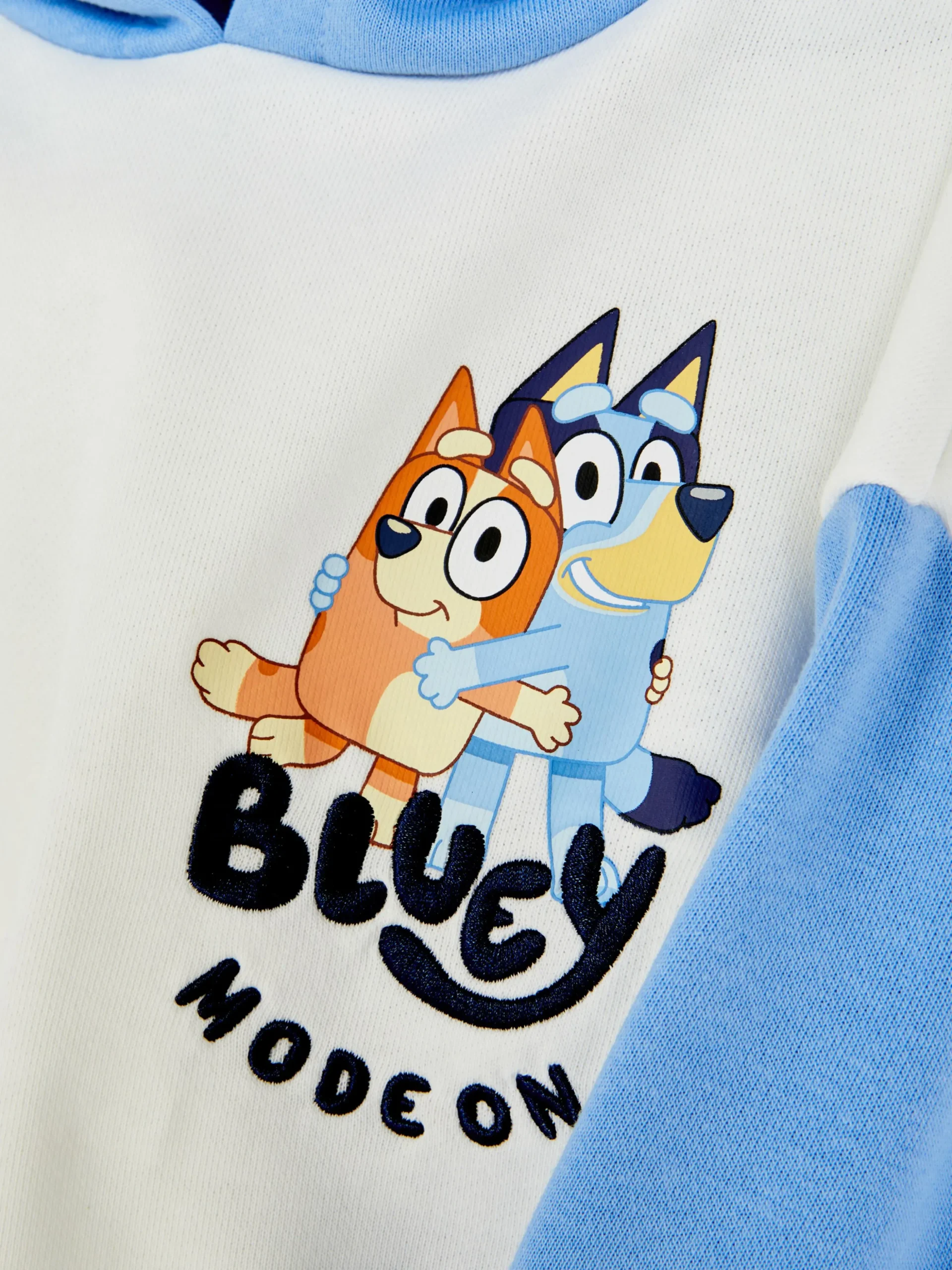 „Bluey“ Hoodie In Blockfarben