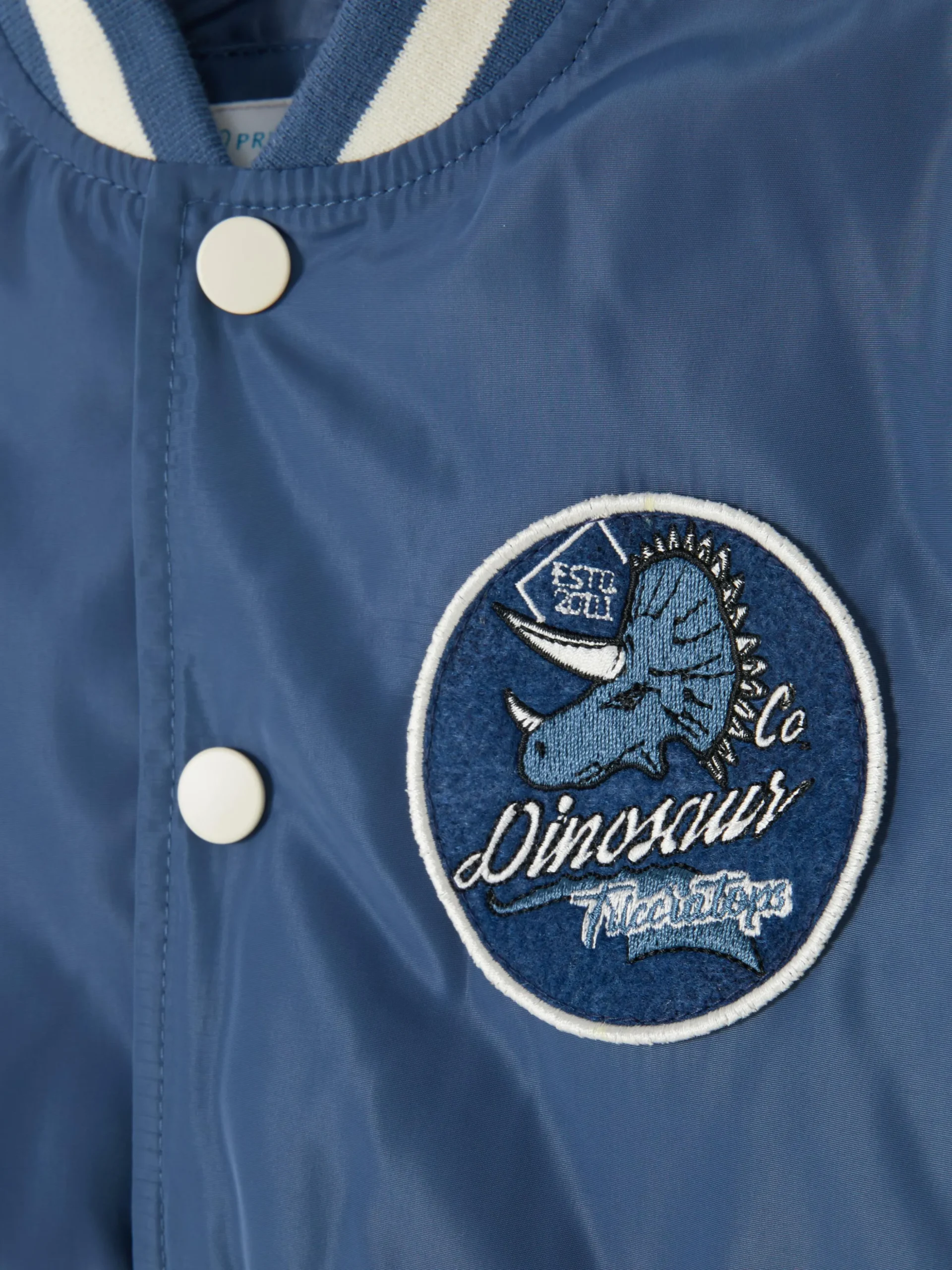 College-Jacke Mit Dinosauriermotiv