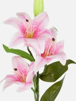 Einstielige Kunstlilie