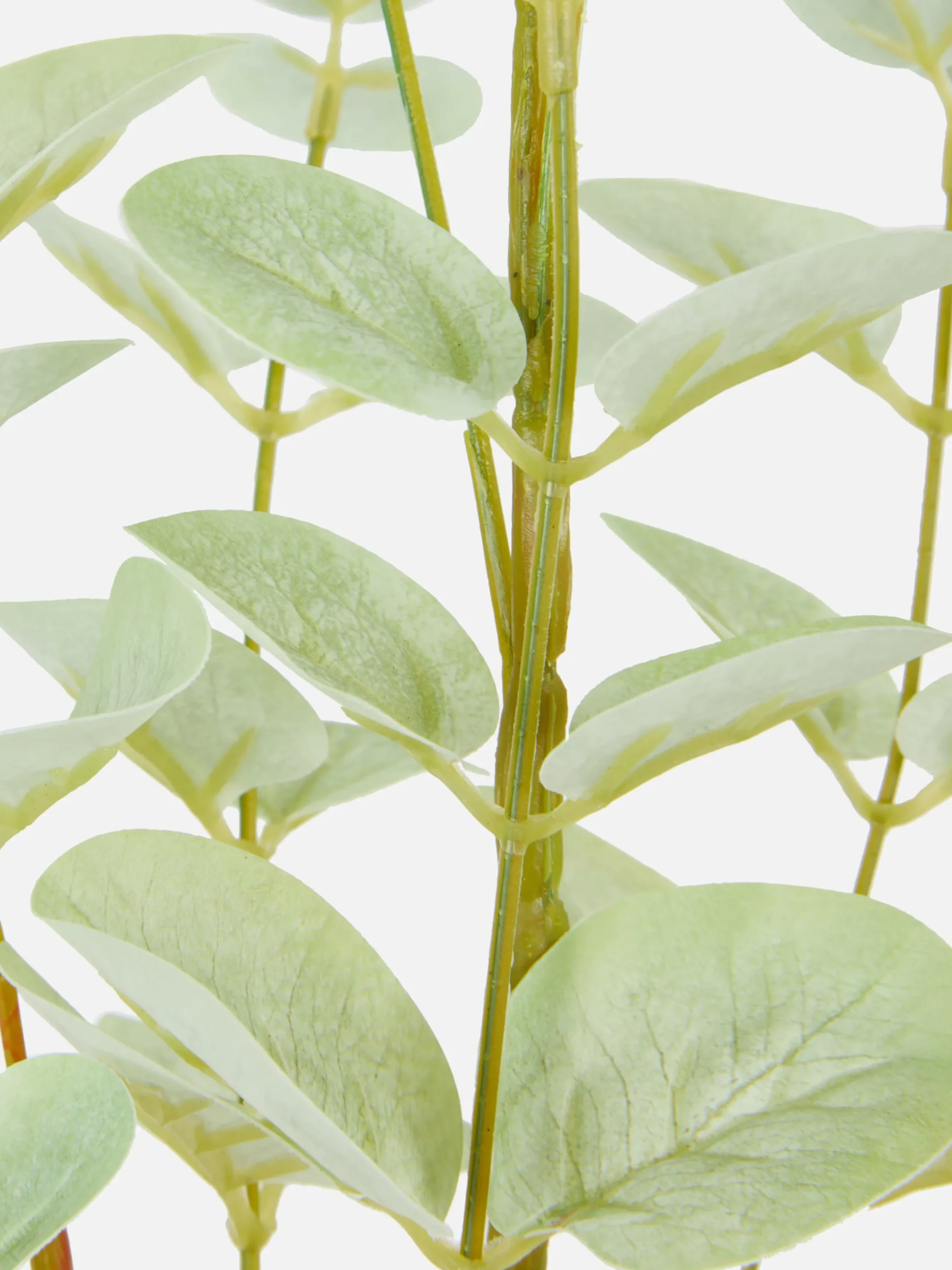 Einzelner Künstlicher Eukalyptusstiel