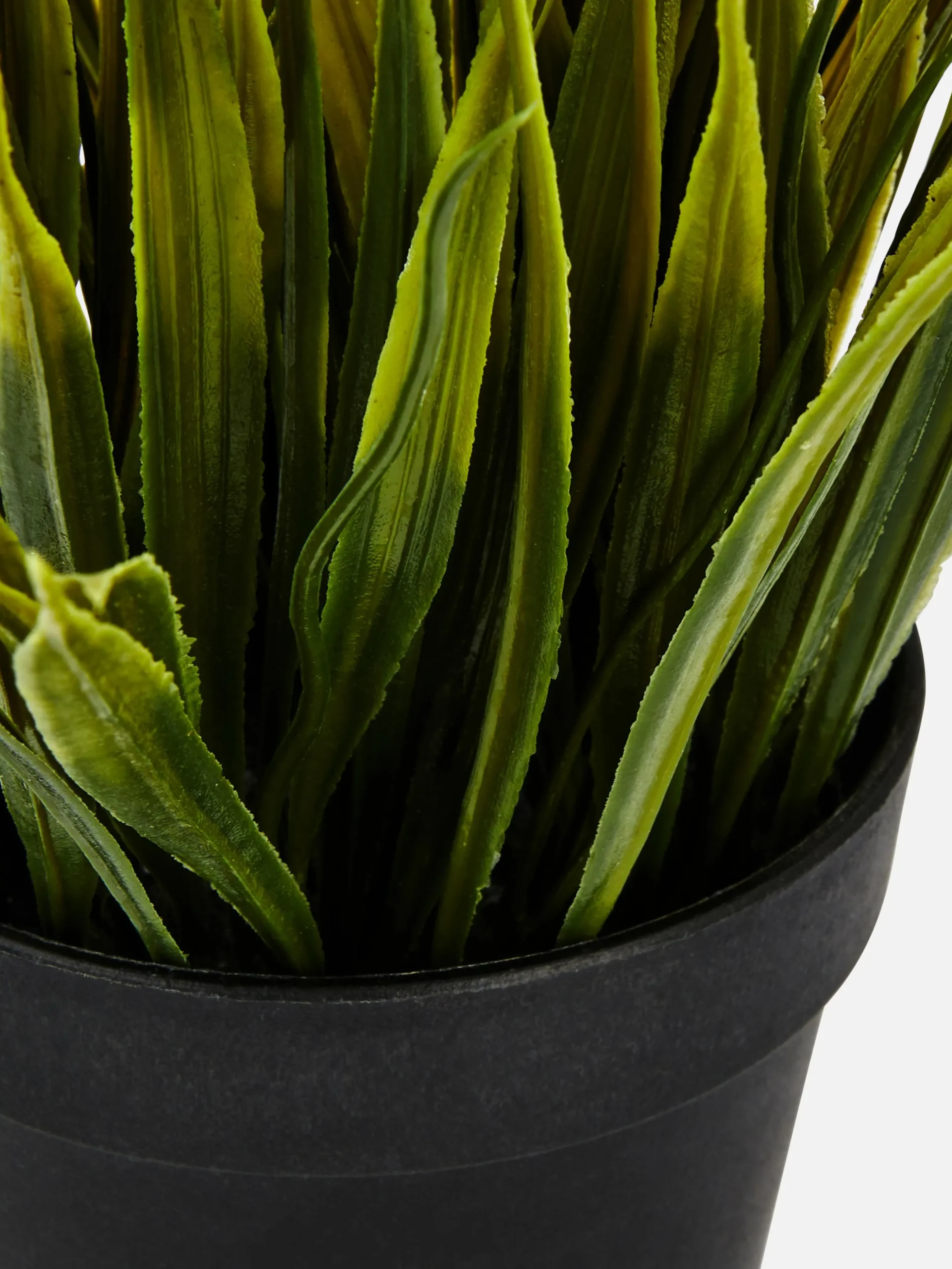 Kleine Künstliche Graspflanze