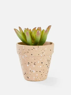 Kleine Künstliche Sukkulente