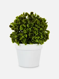 Künstliche Sukkulente Im Topf