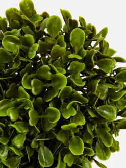 Künstliche Sukkulente Im Topf