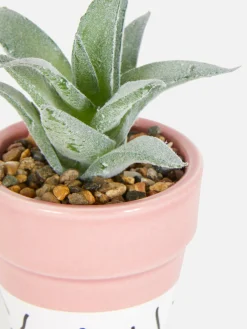 Künstliche Sukkulente In Buntem Topf