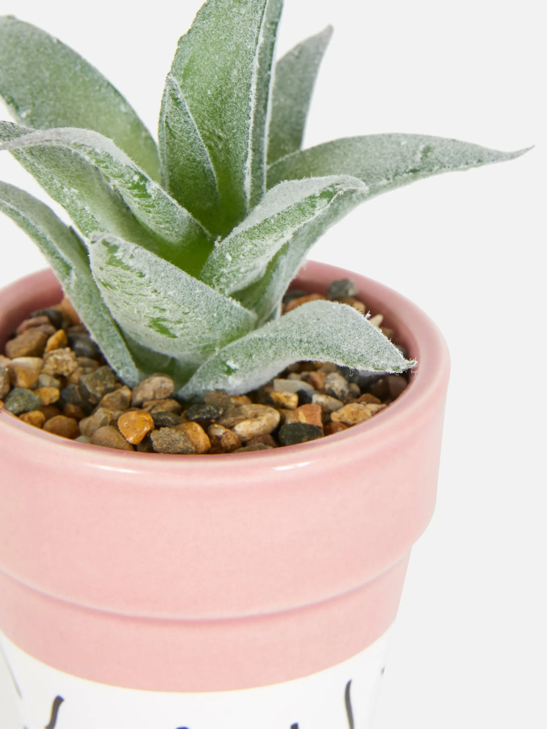 Künstliche Sukkulente In Buntem Topf