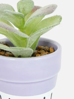 Künstliche Sukkulente In Buntem Topf