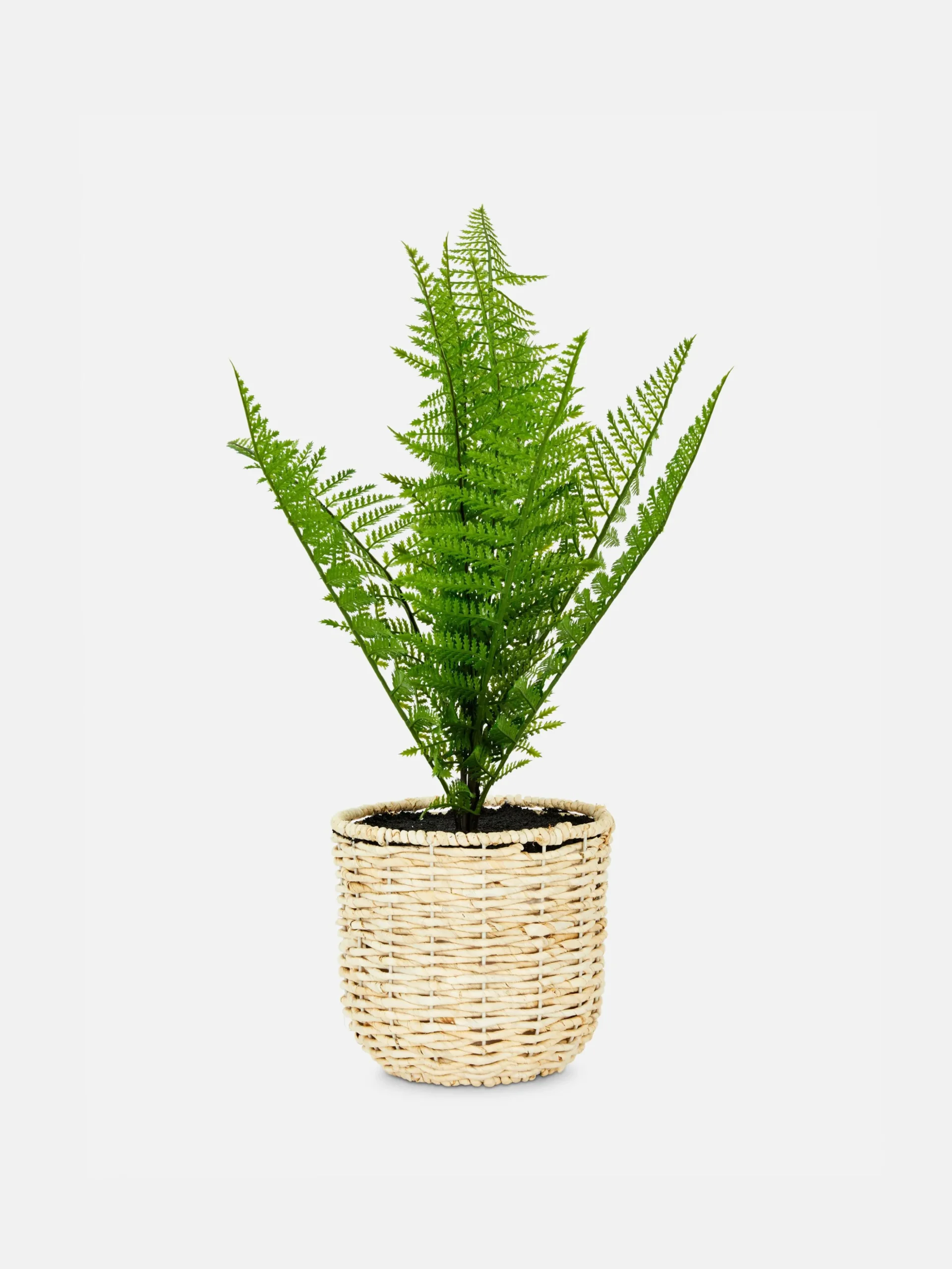 Kunstfarn In Geflochtenem Korb